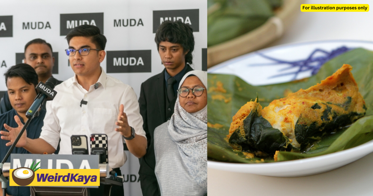 Muda will be selling otak-otak to raise funds for its state election campaign | weirdkaya