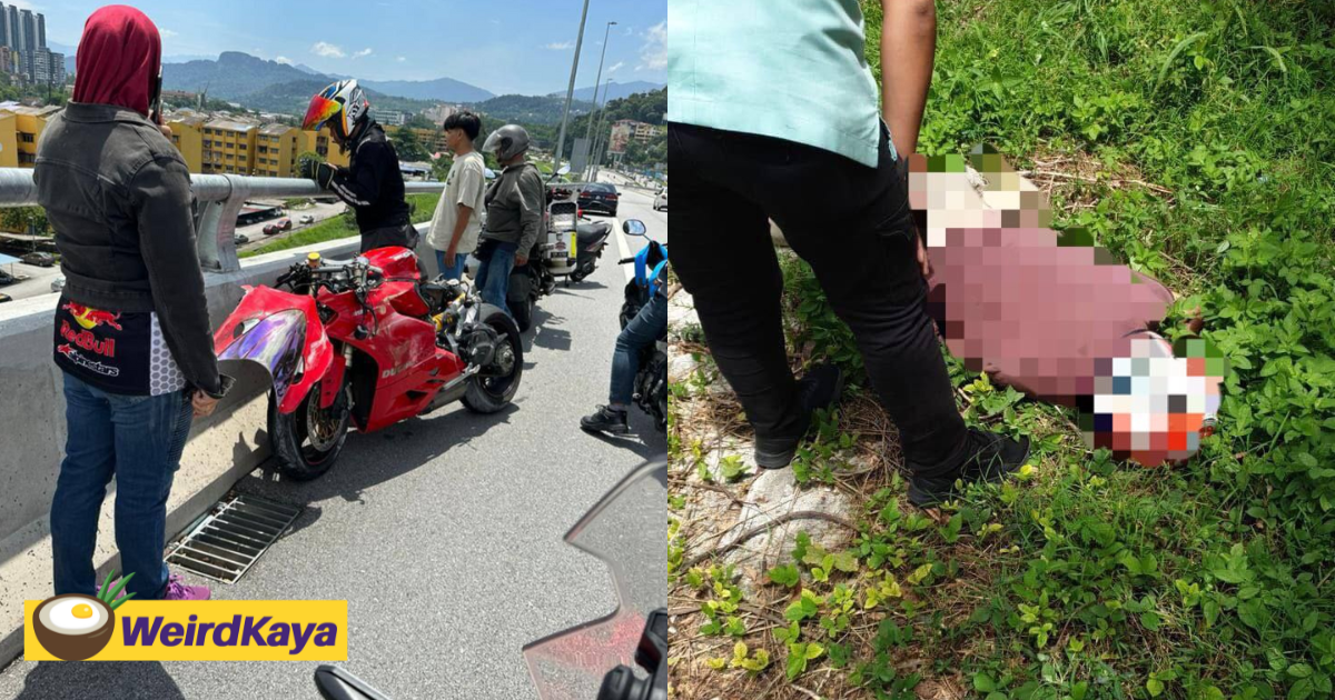 64yo m'sian man thrown off suke highway while trying to avoid motorcyclist who drove against traffic | weirdkaya