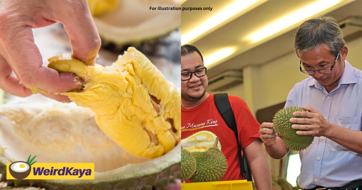 Here are the top 8 tips on how to pick the best durian, according to a durian expert | weirdkaya