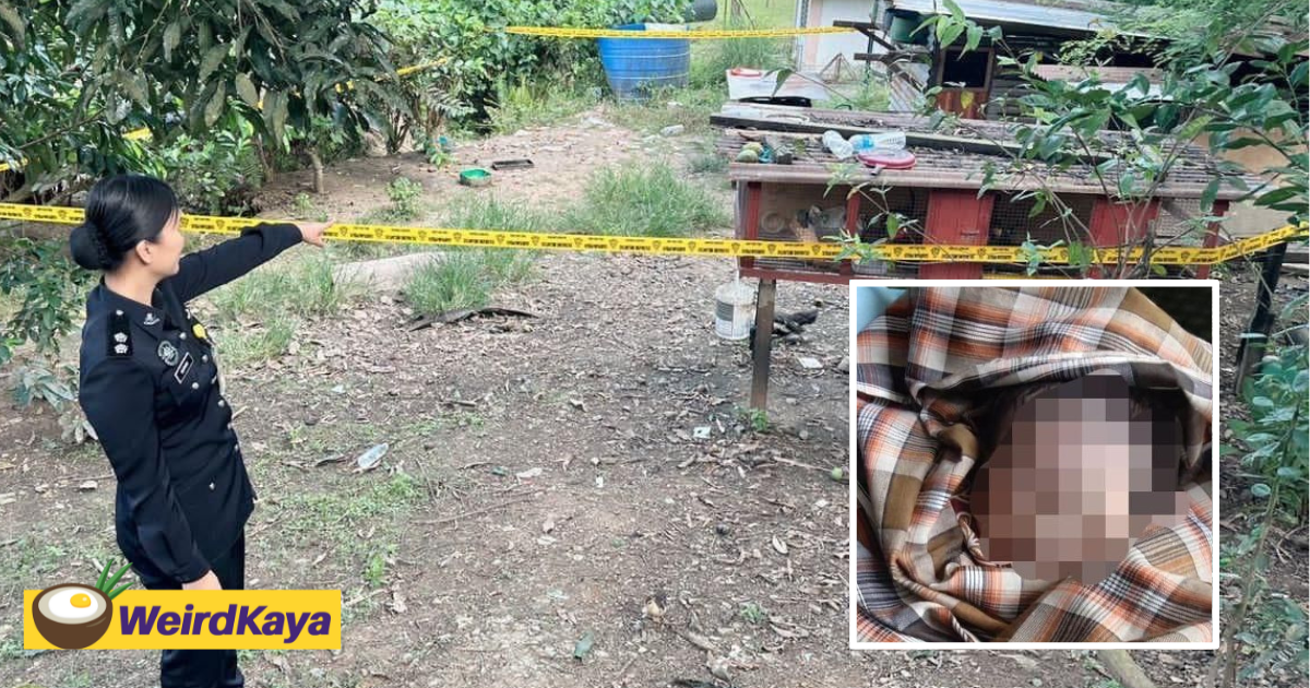 Newborn baby boy found abandoned on top of chicken coop in sabah | weirdkaya
