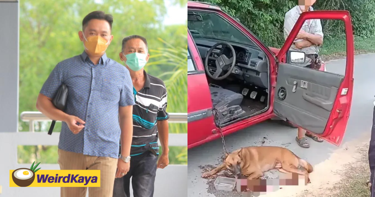 Heng kee roasted pork owner fined rm20,000 after pleading guilty to dog abuse | weirdkaya