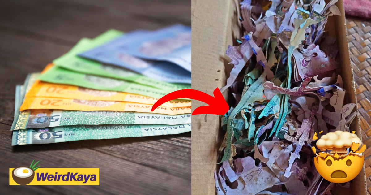 M'sian woman loses rm30,000 cash savings she kept inside box after termites devour it | weirdkaya