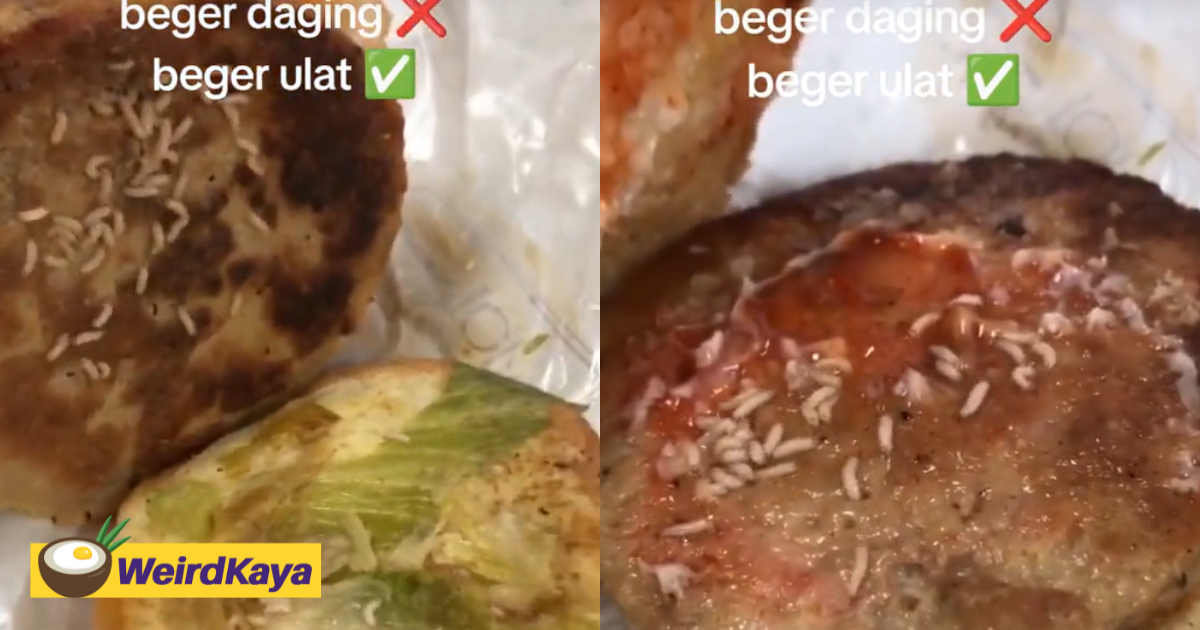 M'sian woman shocked to find maggots inside beef burger she bought from r&r stall | weirdkaya