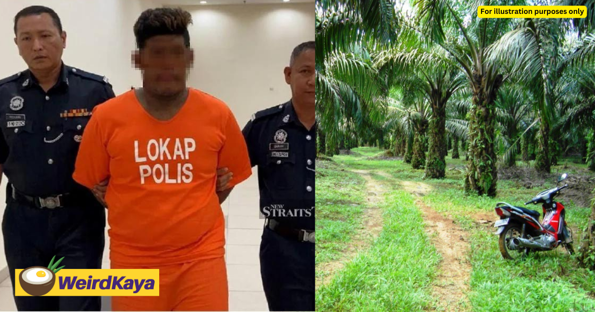 22yo m'sian man makes 300km round trip to rape 14yo girl at palm oil plantation for 5 months | weirdkaya