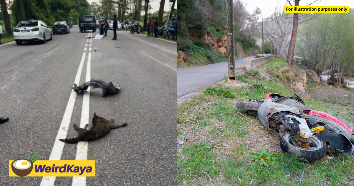 M'sian motorcyclist hit by myvi and dies while trying to avoid dog carcass on the road | weirdkaya