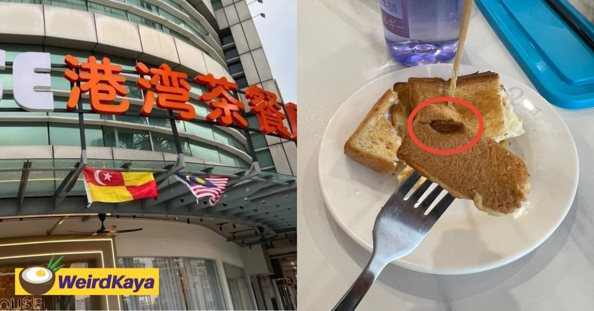 M'sian man shocked to find dead cockroach inside toasted bread at puchong eatery | weirdkaya