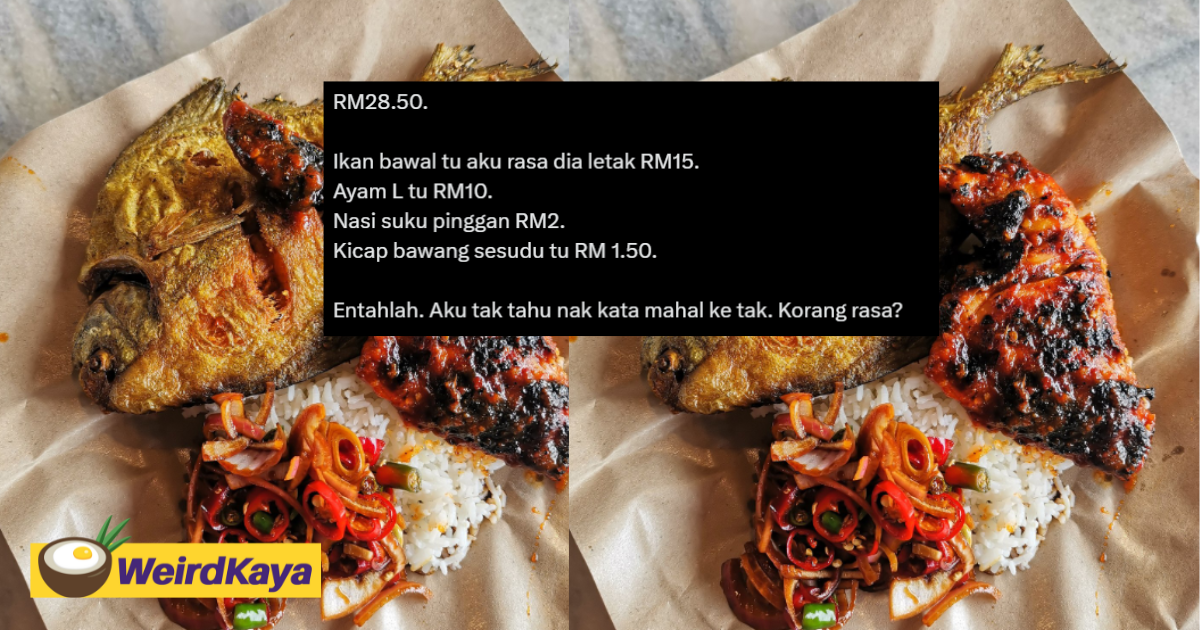 M'sian expresses disbelief over being charged rm28 for economy rice | weirdkaya