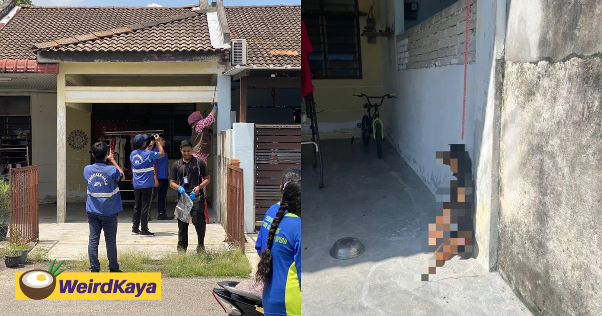 Rottweiler found hanging from a leash in penang, owner claims it was an accident | weirdkaya