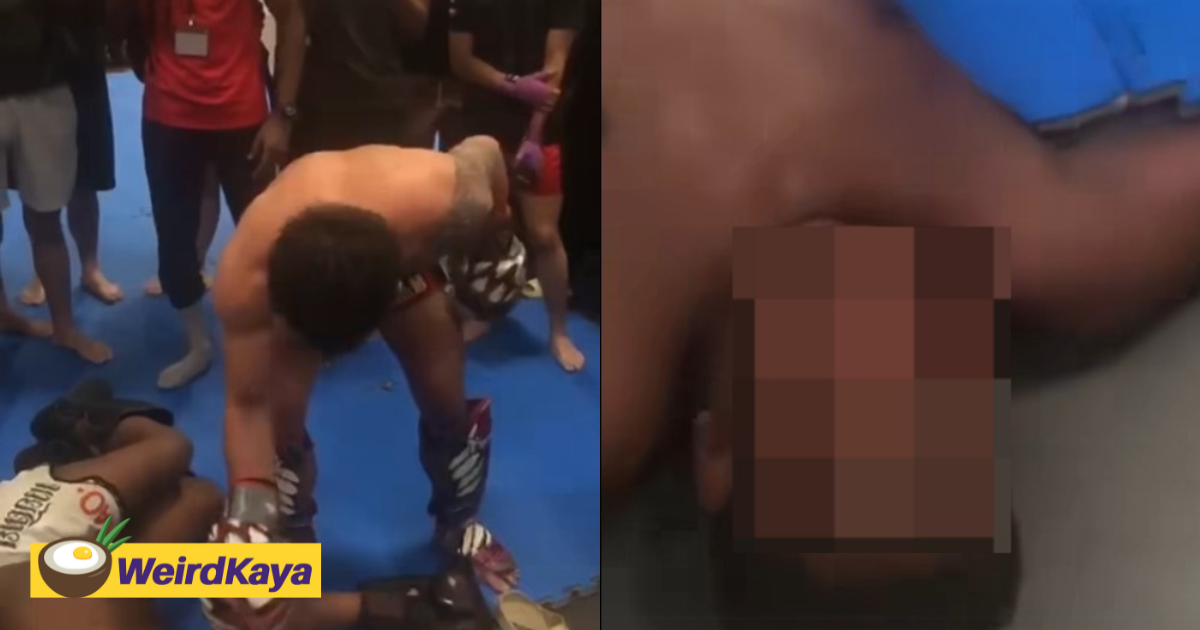M'sian student leaves opponent bloodied in kickboxing match as payback for alleged bullying | weirdkaya