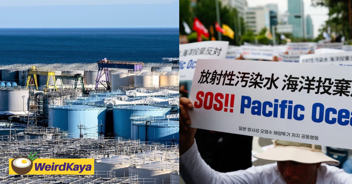 Japan begins releasing water from fukushima nuclear plant, sparks backlash over 'selfish' act | weirdkaya