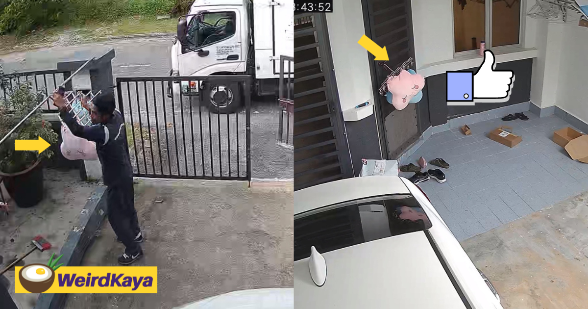 Johor gdex deliveryman praised for keeping customer's stuffed toys before it rained | weirdkaya