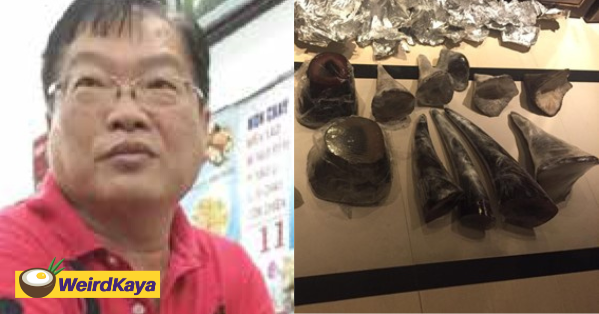 58yo m'sian jailed 18 months in the us for smuggling rhinoceros horns worth rm9. 8m | weirdkaya