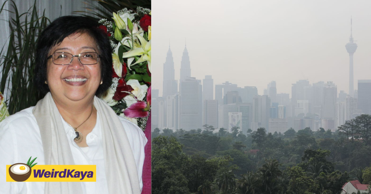 Indonesia's environment minister denies accusation of them causing haze in m'sia | weirdkaya