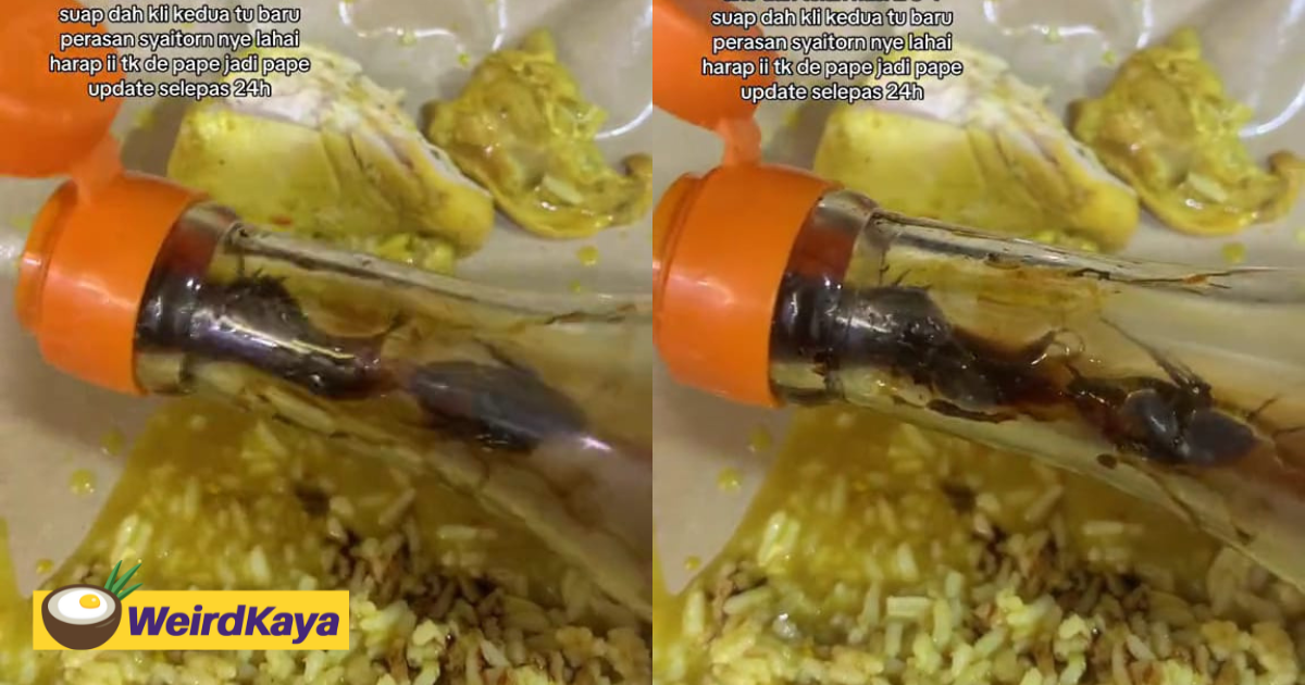 M'sian woman horrified to find 3 dead cockroaches inside soy sauce bottle | weirdkaya