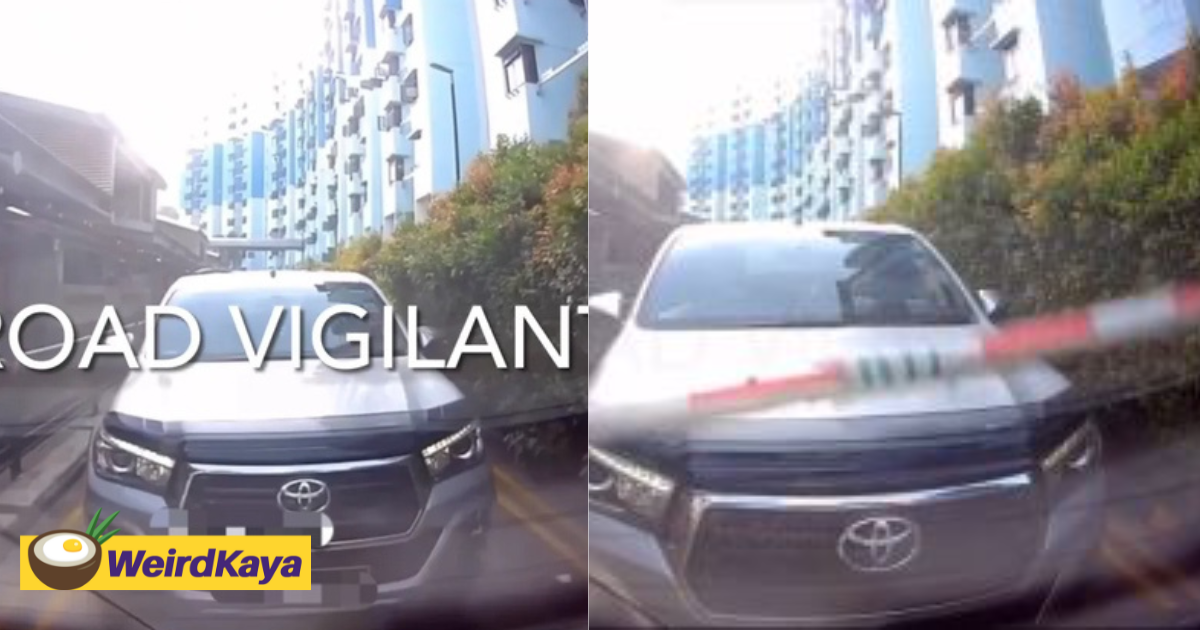 M'sian-registered mpv tries to tailgate car to skip on parking fee, gets blocked & forced to reverse | weirdkaya