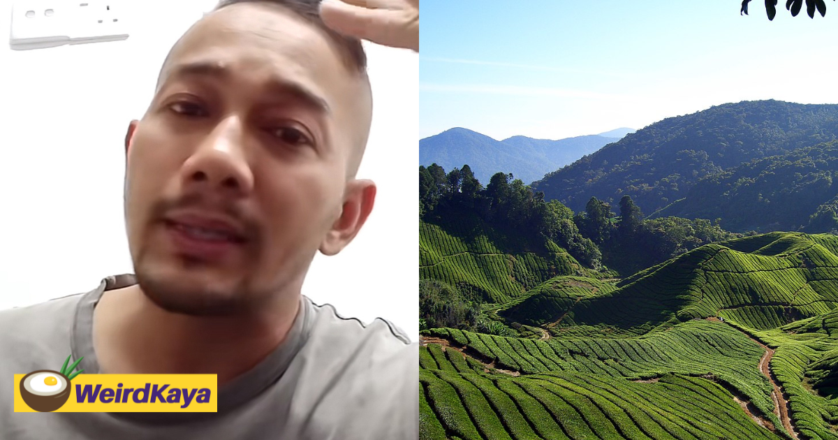 'never again! ' — m'sian man vows not to return to cameron highlands after he spent rm1,470 on trip | weirdkaya