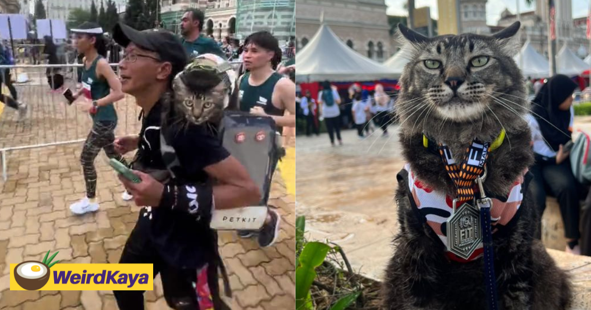 M'sian man completes 10km run with pet cat, captures the hearts of netizens | weirdkaya