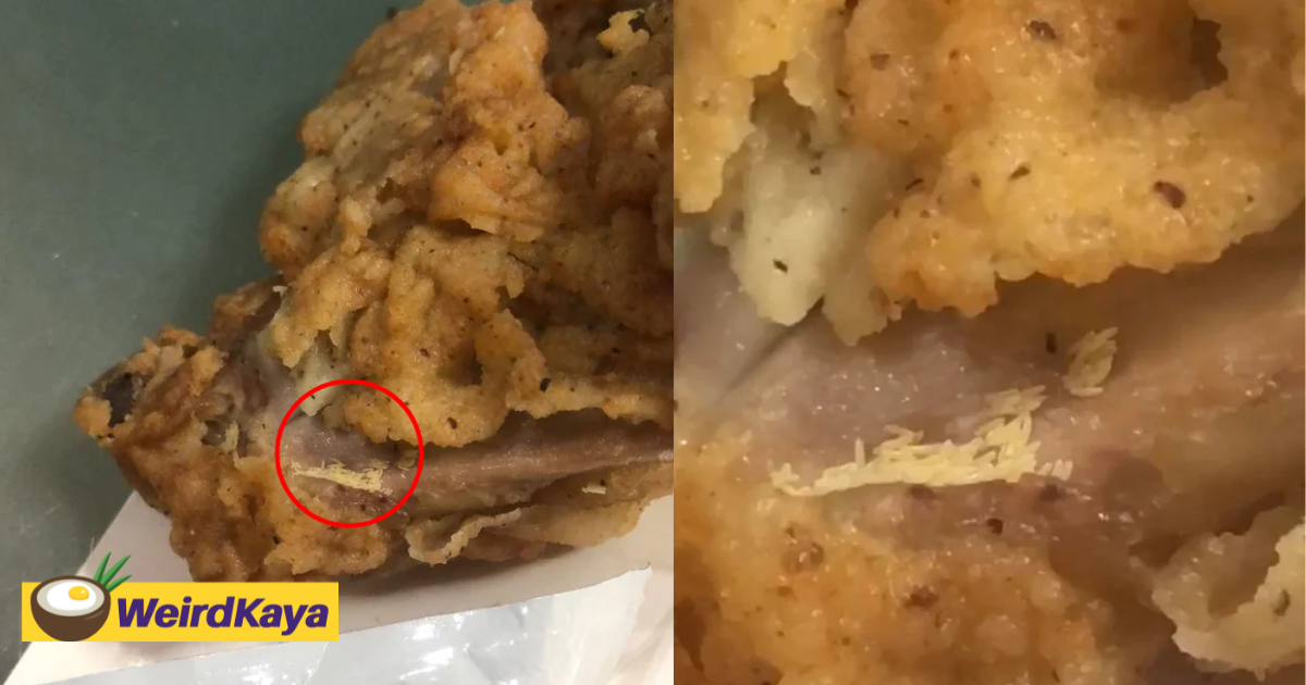 'disgusting! ' — m'sian horrified to find fly eggs inside kfc chicken | weirdkaya
