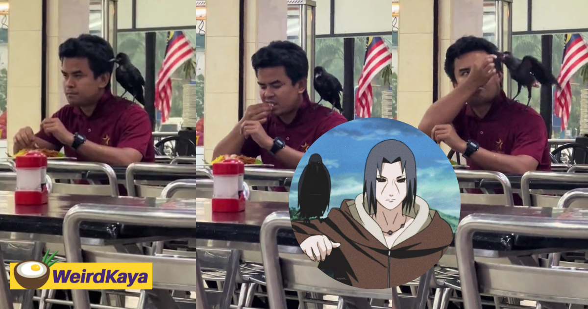 M'sian shares meal with a crow at mamak stall, netizens liken him to naruto’s itachi uchiha | weirdkaya