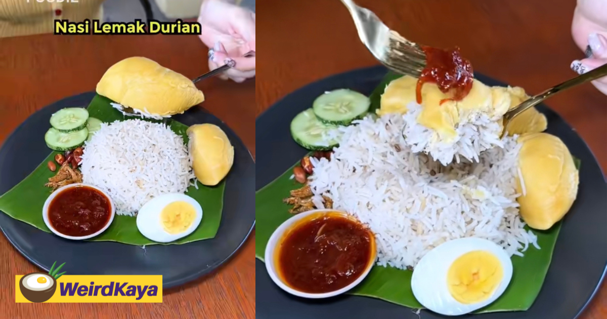 'not fusion, just confusion' - m'sians stunned by restaurant which serves nasi lemak with durian | weirdkaya