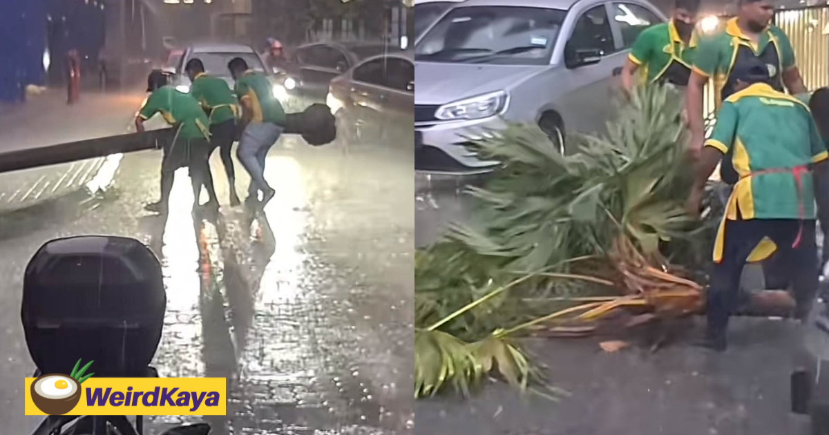 Nasi kandar workers in bangsar win praises after helping to lift fallen tree off the road during rainstorm | weirdkaya
