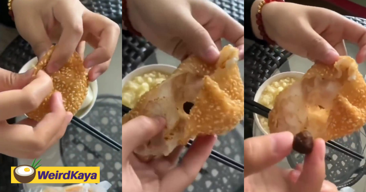 'ear wax? ' - m'sian disappointed upon discovering pea-sized red bean filling inside sesame ball | weirdkaya
