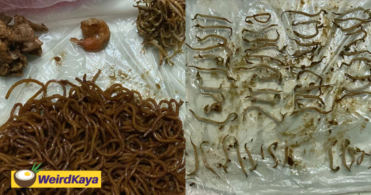M'sian complains about having bean sprouts in fried noodles, pulls out 92 of them as proof | weirdkaya