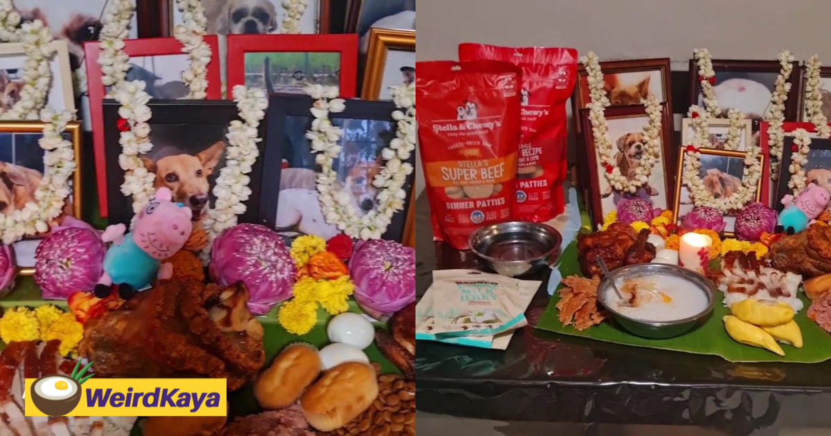 M'sian woman honors her rescue dogs that have died by offering prayers during deepavali | weirdkaya