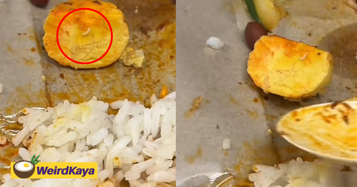 M'sian man disgusted to find egg yolk filled with maggots inside nasi lemak | weirdkaya