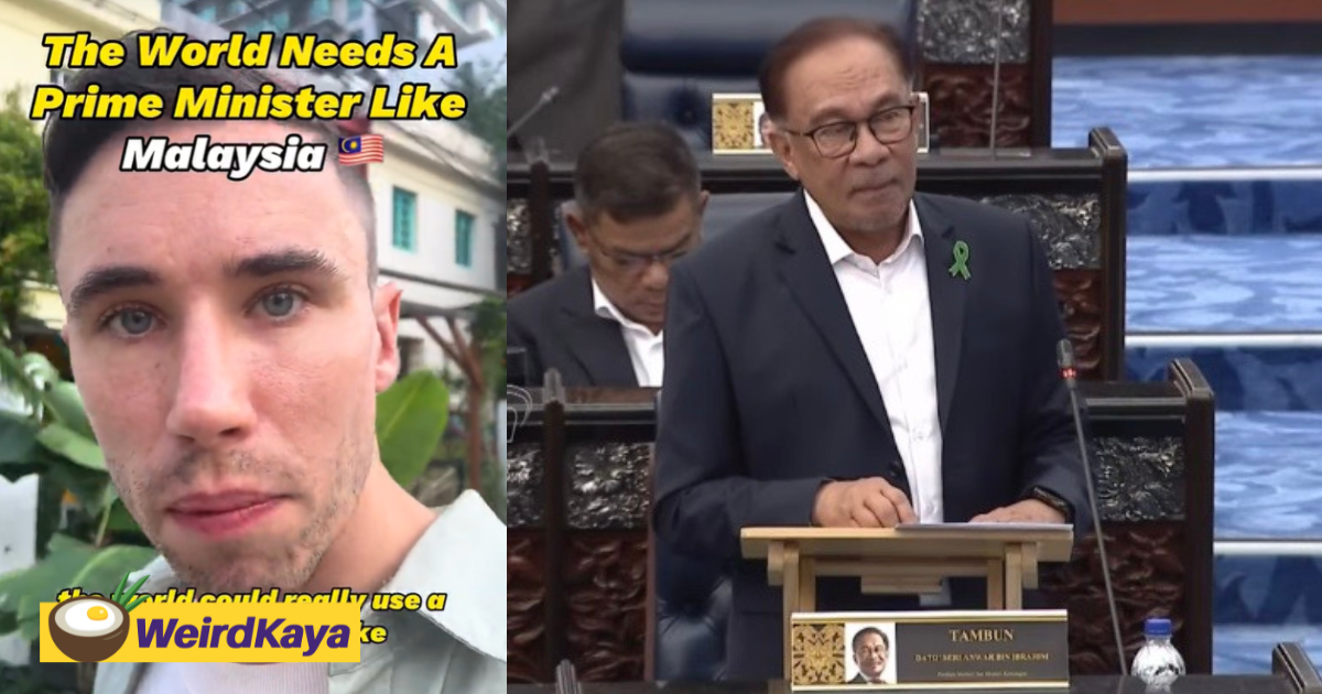 Angmoh calls anwar the 'best prime minister', says the world needs more leaders like him | weirdkaya