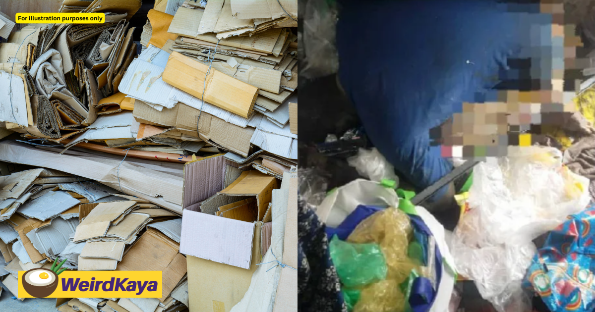 Elderly man found deceased among recycled goods in georgetown home | weirdkaya