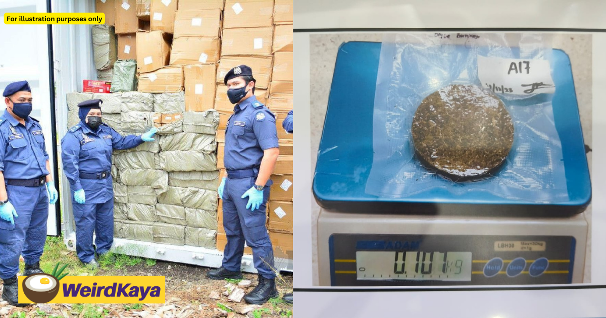 M'sian police seize ganja worth rm11k which were disguised as belacan & snacks | weirdkaya