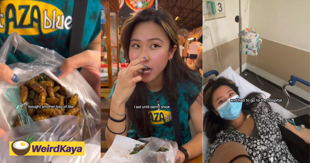 Sg tiktoker eats bags of fried insects in bangkok, lands herself in the hospital | weirdkaya
