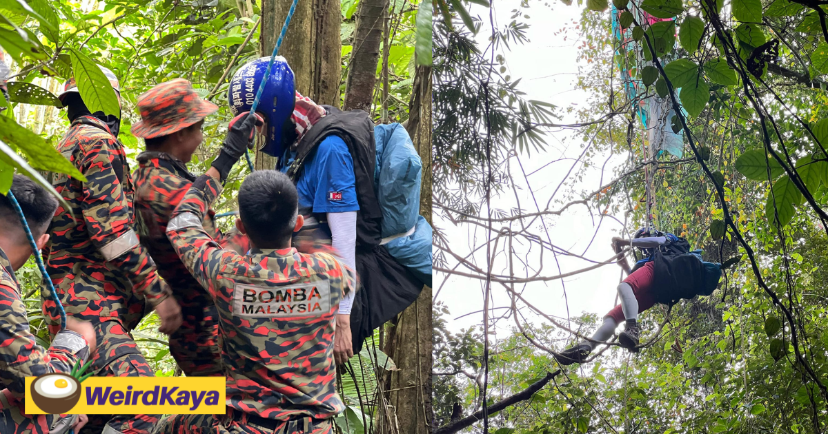 Korean man gets stuck on 50m-tall tree while paragliding in sabah | weirdkaya