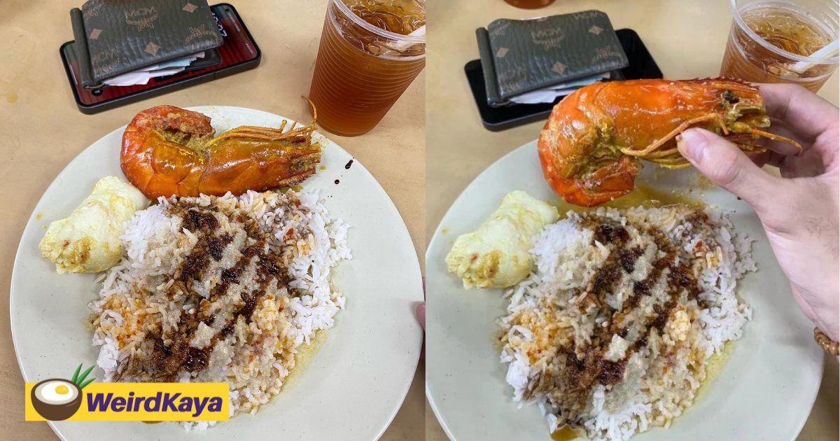 'is this logical? ' — m'sian stunned by rm30 tiger prawn he ordered at kl stall | weirdkaya