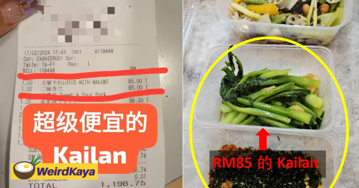 M'sian woman slams klang eatery for charging her rm85 for a small portion of kailan | weirdkaya