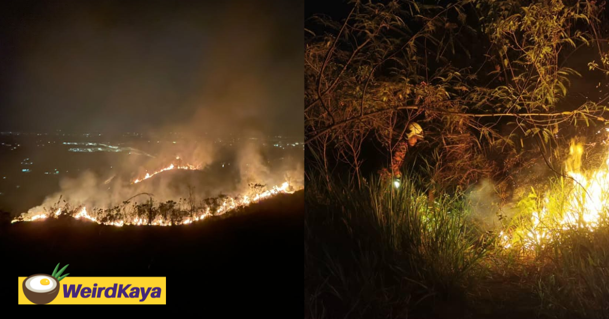 Broga hill catches fire, 5 acres of land affected | weirdkaya