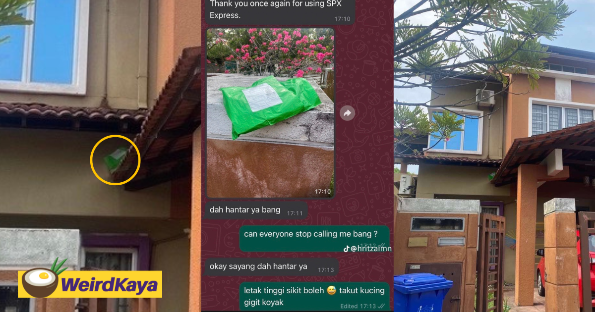 M'sian delivery man places parcel on roof after customer tells him to keep it away from the cat | weirdkaya