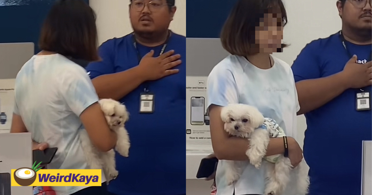 Woman brings dog into usj machines store, argues with staff when told it's not allowed | weirdkaya