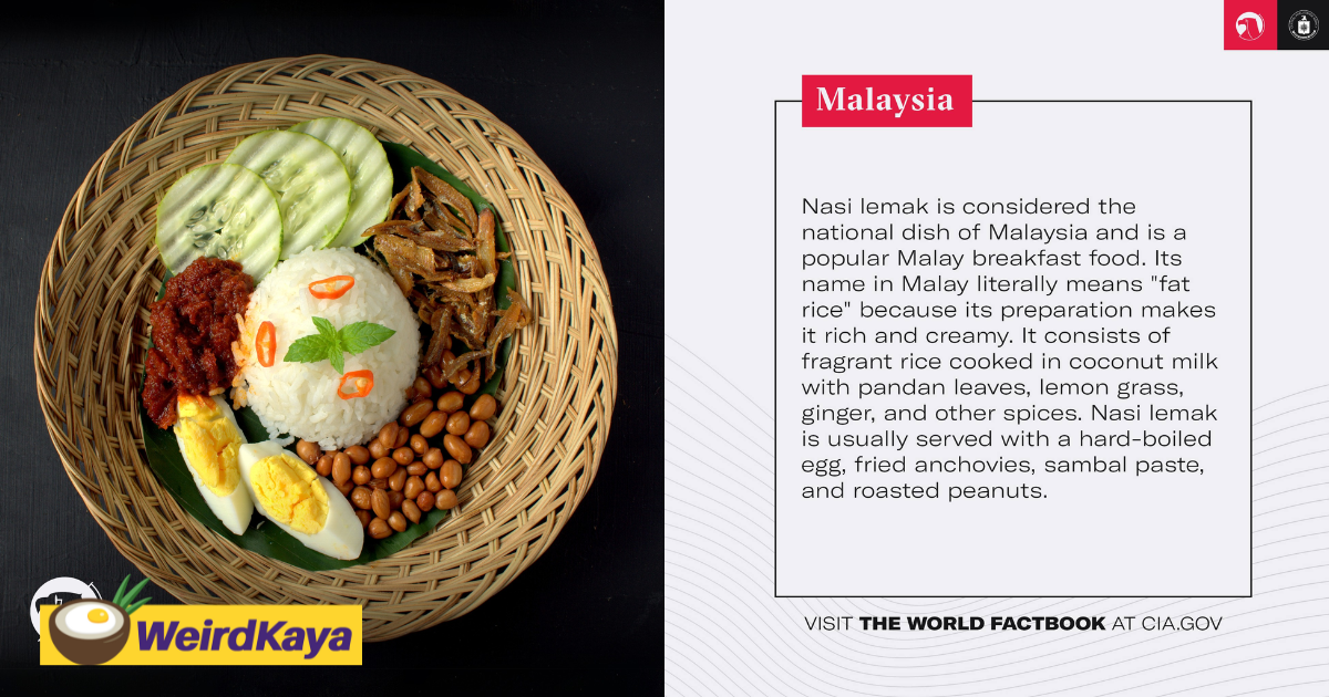 The cia just called nasi lemak 'fat rice' & m'sians can't stop talking about it | weirdkaya