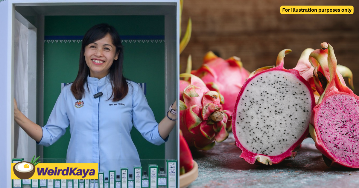 M'sians Bash Minister For Asking How Much She Should Run After Eating Dragon Fruit