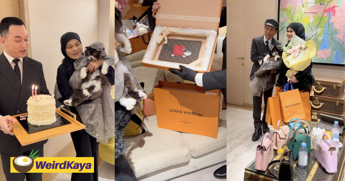 M'sian entrepreneur throws party for pet cat at louis vuitton store | weirdkaya