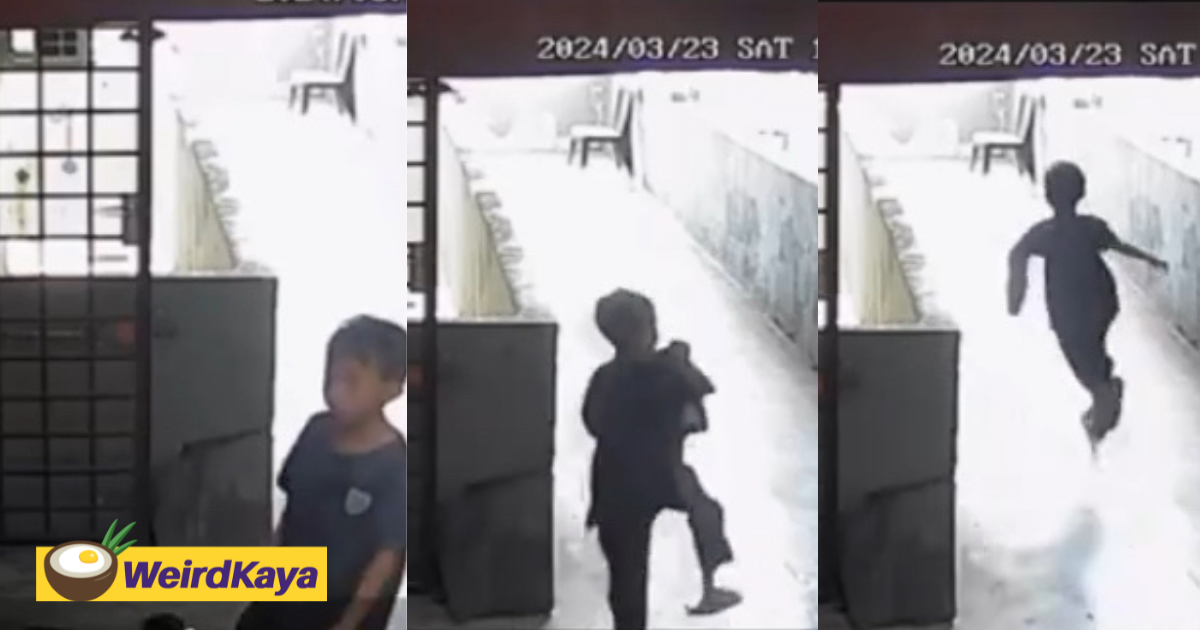 'they always go missing! ' - m'sian kid caught on cctv stealing parcel from neighbour's house | weirdkaya