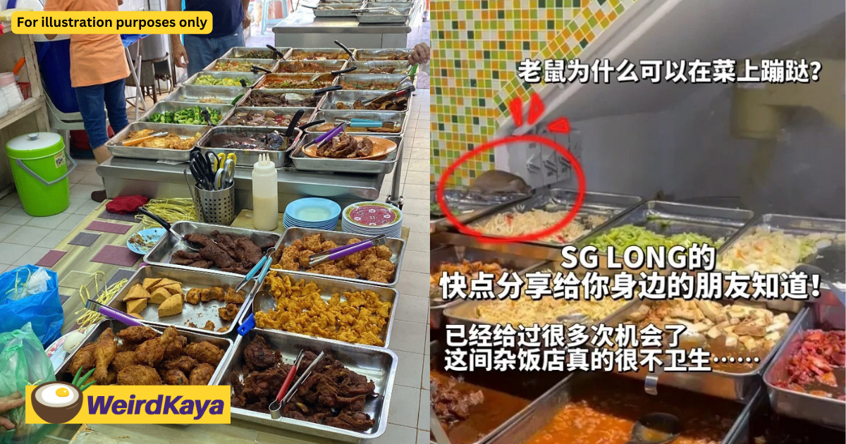M'sian student shocked to see giant rat at zhap fan stall in sg long | weirdkaya