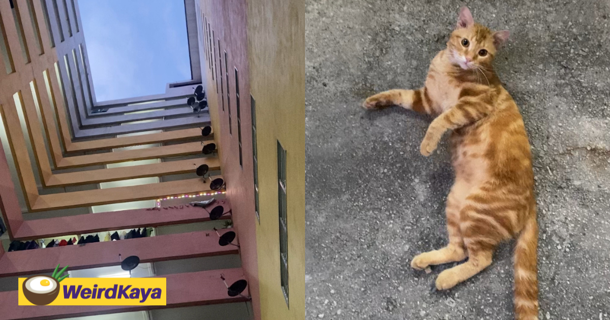 Oyen Casually Rests At Cheras PPR, Netizens Think He's Dead But He's Just Relaxing