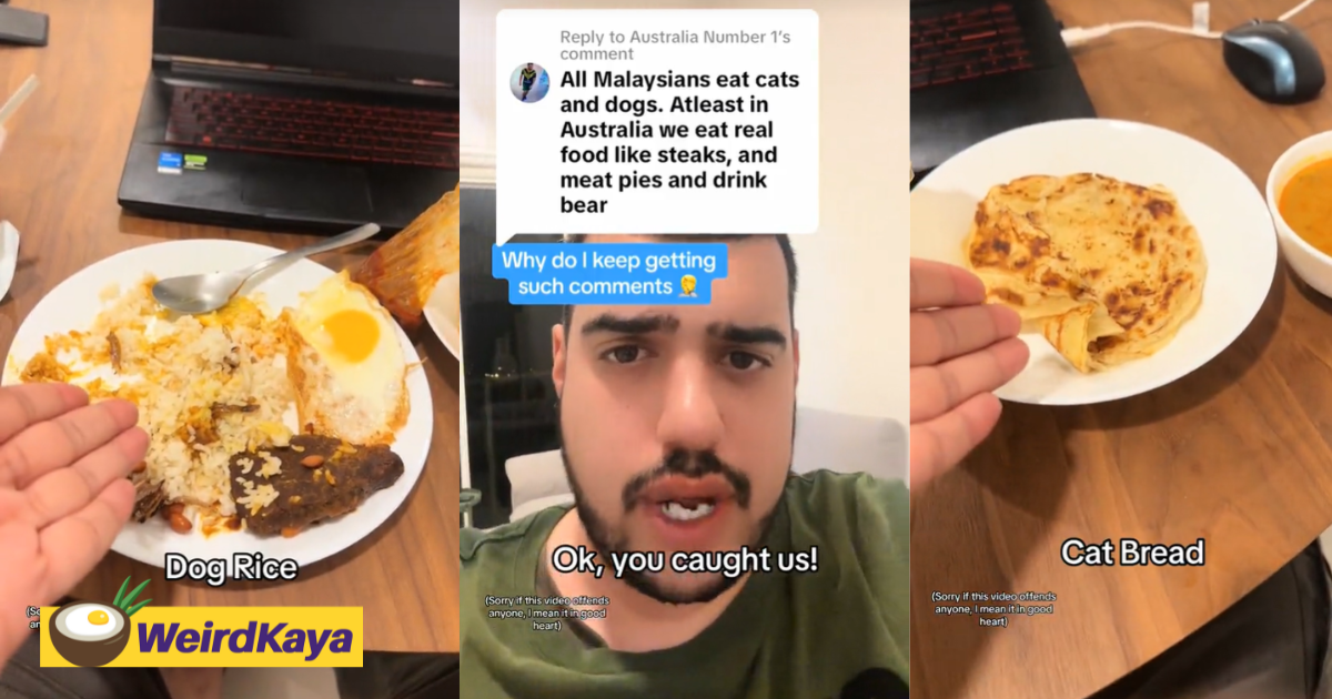 M'sians eat cats and dogs? Aussie tiktoker claps back at online troll over ridiculous claim | weirdkaya