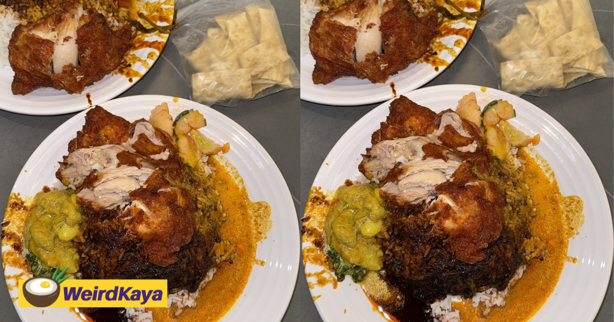 'so cheap! ' — m'sian woman shows off 2 plates of nasi kandar which only cost rm13 | weirdkaya
