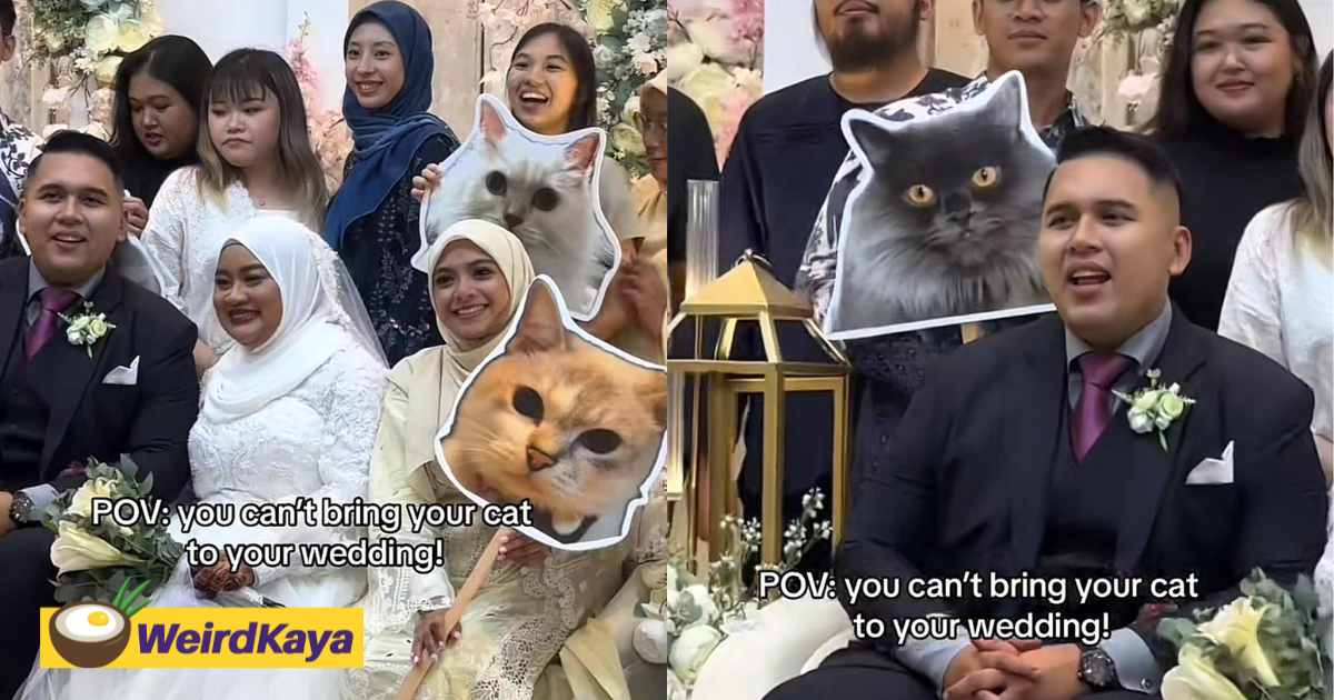 M'sian family brings cutouts of their pet cats to wedding, amuses netizens | weirdkaya