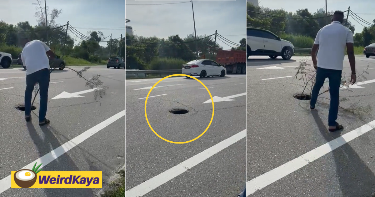 M'sian man puts tree branch inside giant pothole to warn other drivers | weirdkaya