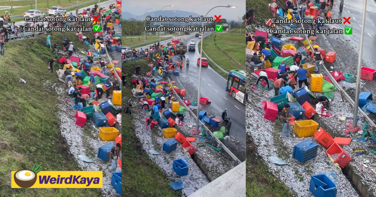 M'sians seen picking sotong from the roadside after lorry carrying it overturns | weirdkaya